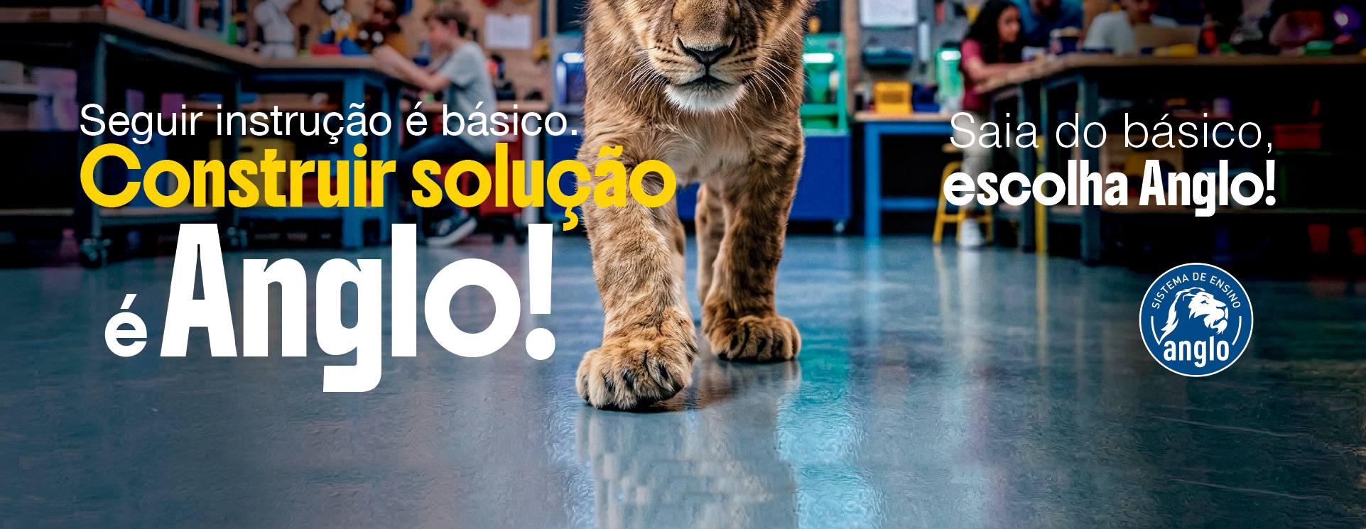 Campanha 27 instrução/entender